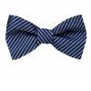 Silk Self Tie Bow Tie Bow Ties - Self Tie