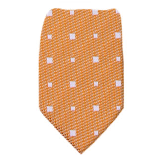 Orange Boys Tie Ties