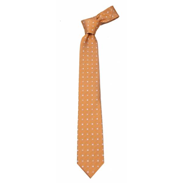 Orange Boys Tie Ties