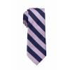 Boys College Stripe Tie Ties