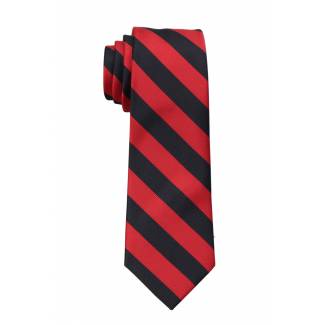 Boys College Stripe Tie Ties