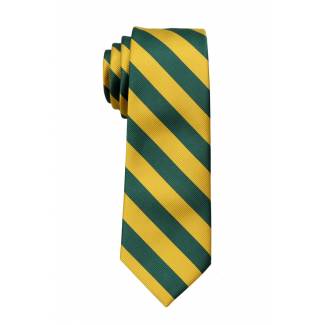 Boys College Stripe Tie Ties