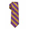 Boys College Stripe Tie Ties