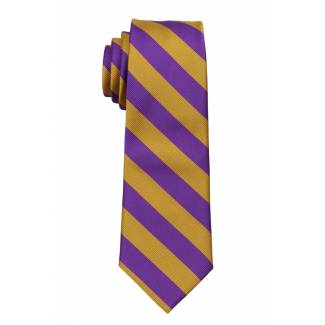 Boys College Stripe Tie Ties