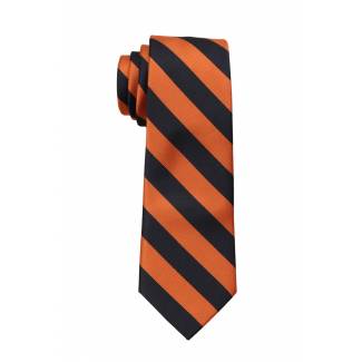 Boys College Stripe Tie Ties