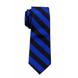 Boys College Stripe Tie Ties