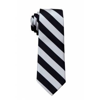 Boys College Stripe Tie Ties