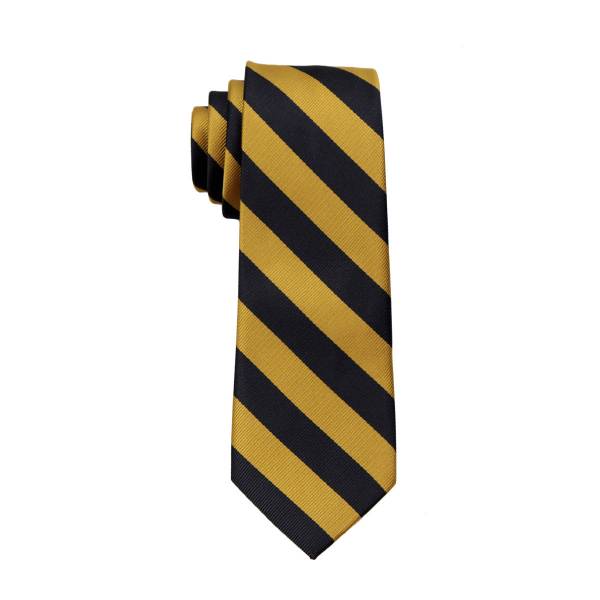 Boys College Stripe Tie Ties