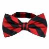 Pre Tied Striped Bow Tie Pre Tied