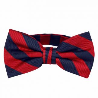 Pre Tied Striped Bow Tie Pre Tied