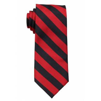 XL College Stripe Tie Ties