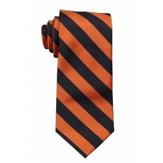 XL College Stripe Tie Ties