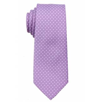 Boys Dot Tie Ties