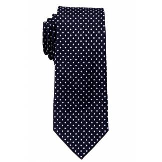 Boys Dot Tie Ties