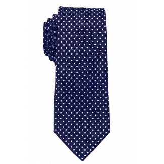 Boys Dot Tie Ties