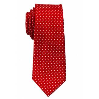 Boys Dot Tie Ties