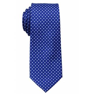 Boys Dot Tie Ties