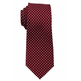 Boys Dot Tie Ties