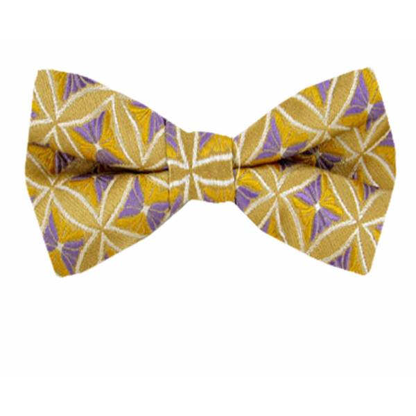 Boys Pattern Pre Tied Bow Tie Pre Tied Bow Tie