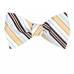 Mens Self Tie Bow Tie Self Tie