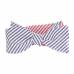 Self Tie Reversible Aficionado Bow Tie Bow Ties - Self Tie