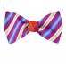 Self Tie Reversible Aficionado Bow Tie Bow Ties - Self Tie