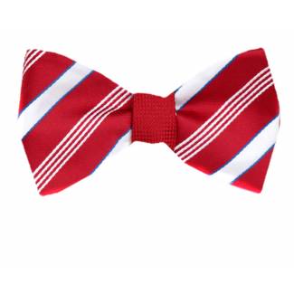 Self Tie Reversible Aficionado Bow Tie Bow Ties - Self Tie