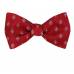 Self Tie Reversible Aficionado Bow Tie Bow Ties - Self Tie