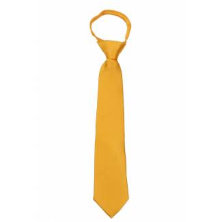 Boys (9 13 yr) Zipper Tie Zipper Tie 14 inch