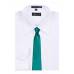 Teal Green Solid Tie Regular