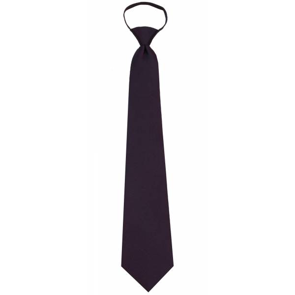 Mens Zipper Tie Regular Length Zipper Tie