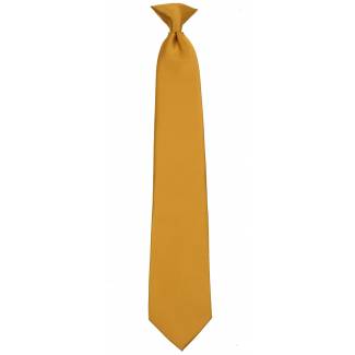 Gold Boys Clip on Tie Clip On Ties