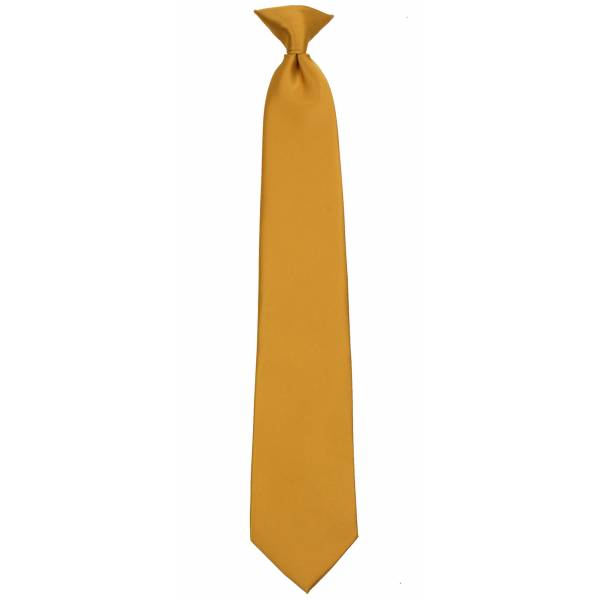 Gold Boys Clip on Tie Clip On Ties