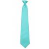 Boys Aqua Blue Clip on Tie Clip On Ties