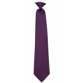 Boys Eggplant Clip on Tie Clip On Ties