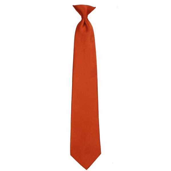 Rust Clip on Tie Mens Clip On Ties